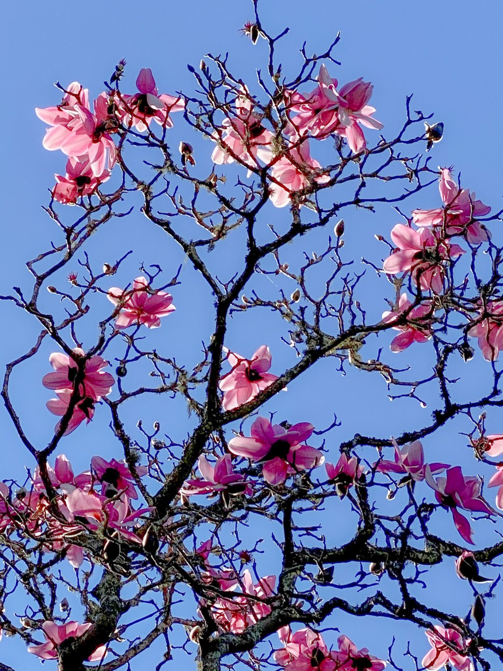 this week in three good&nbsp;things