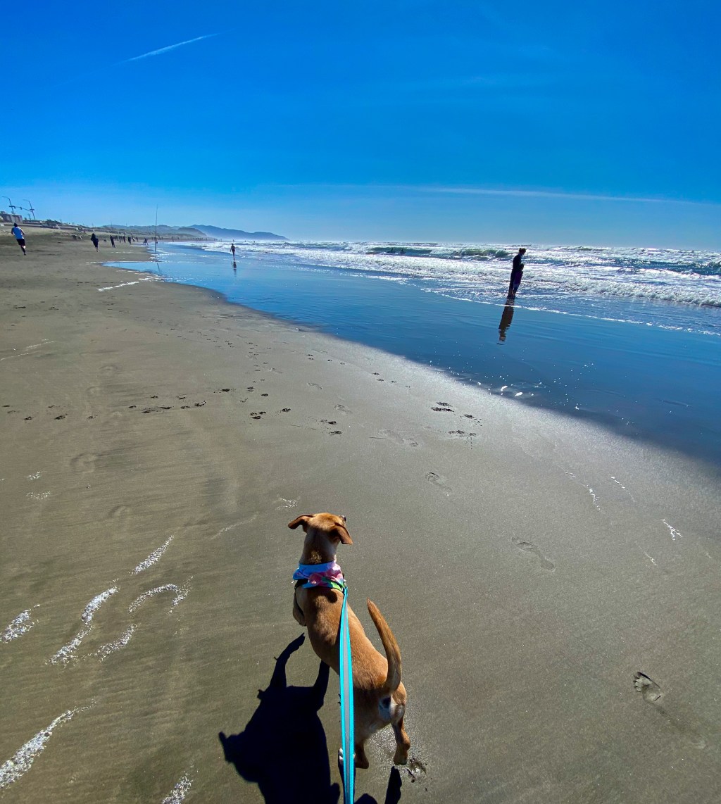 a look back + ahead to&nbsp;March