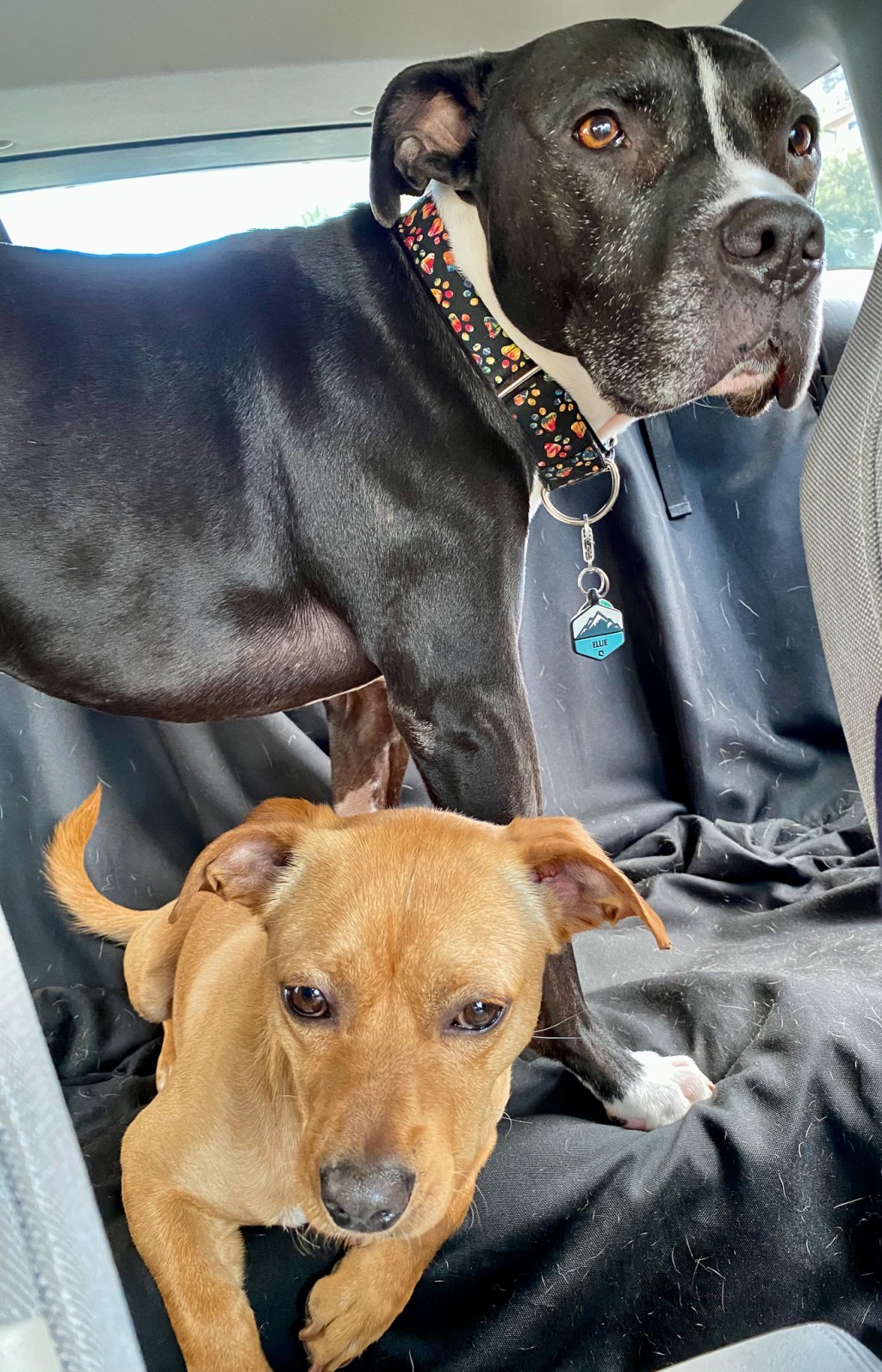 this week in three good&nbsp;things