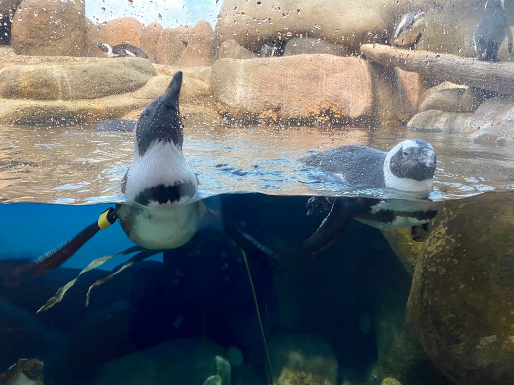 this week in three good&nbsp;things