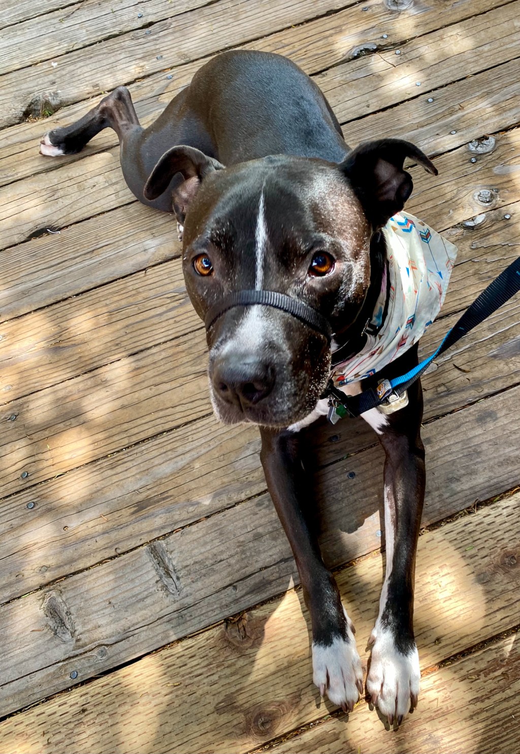 this week in three good&nbsp;things