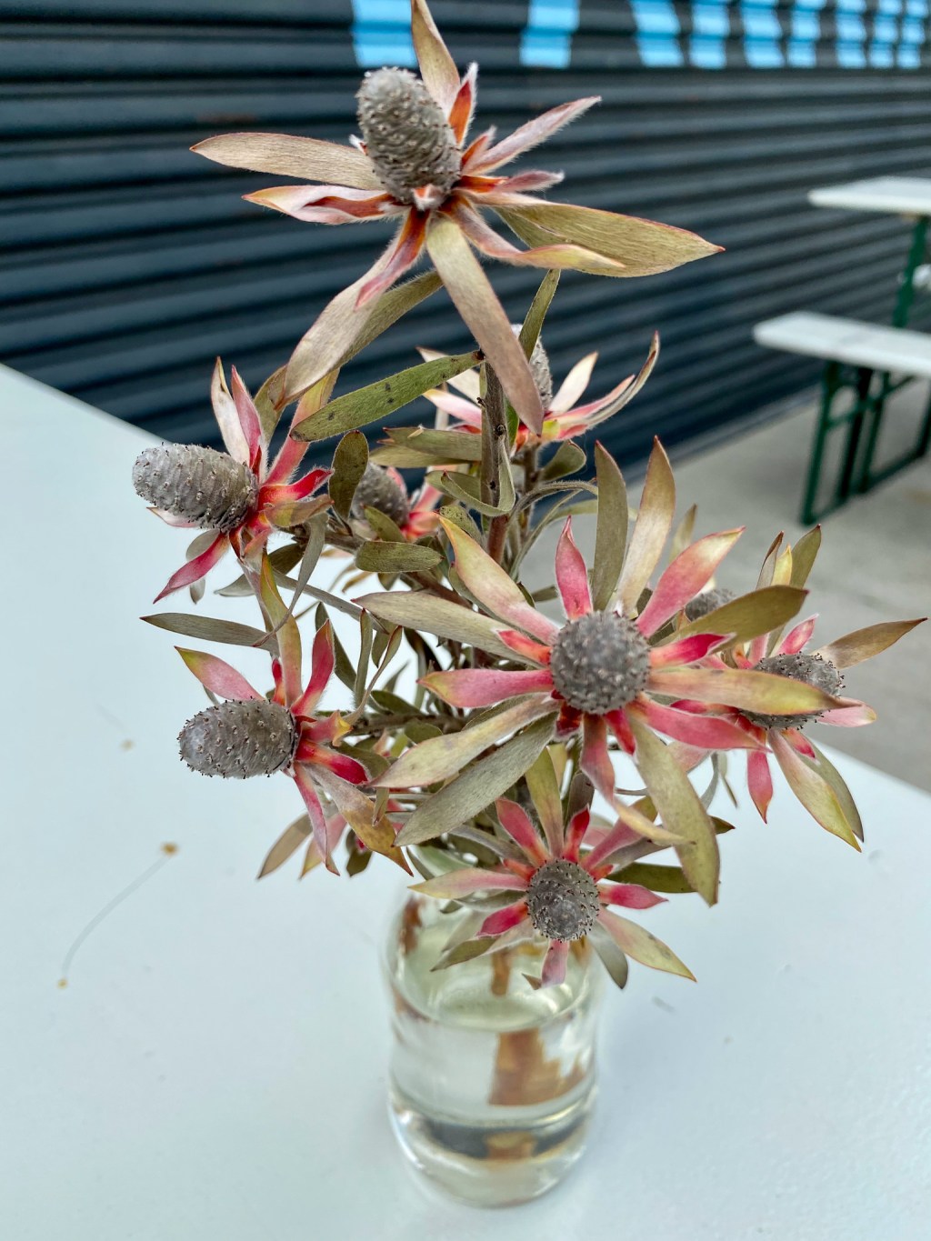 this week in three good&nbsp;things