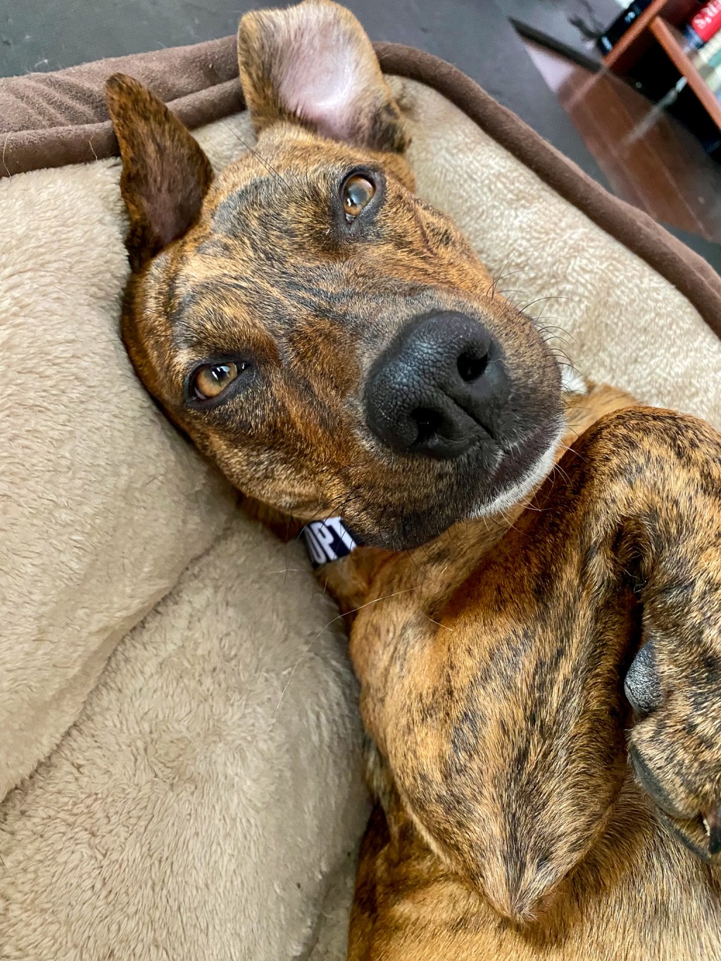 this week in three good&nbsp;things