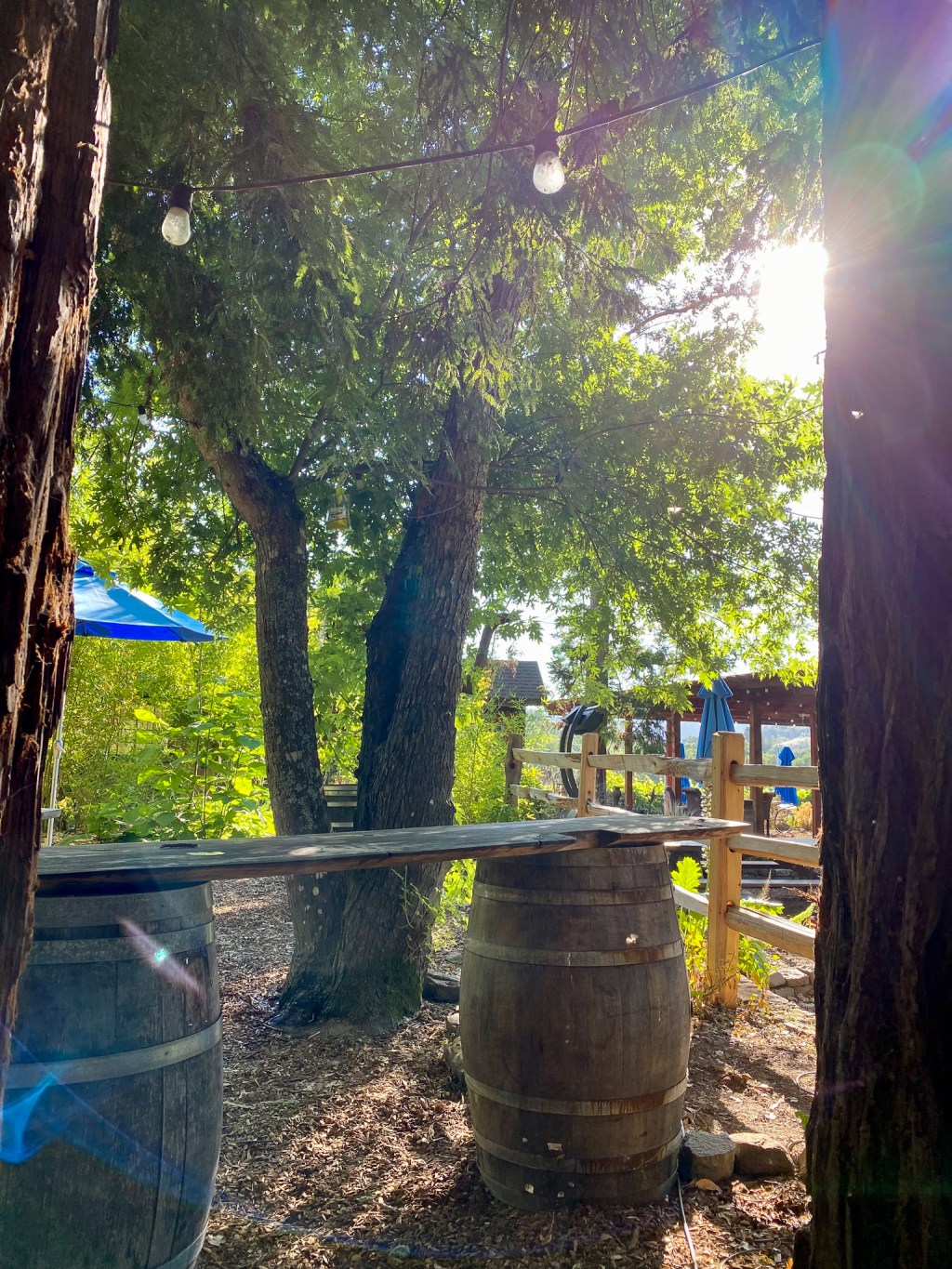 June in review + a look ahead