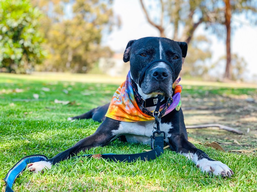 this week in three good&nbsp;things