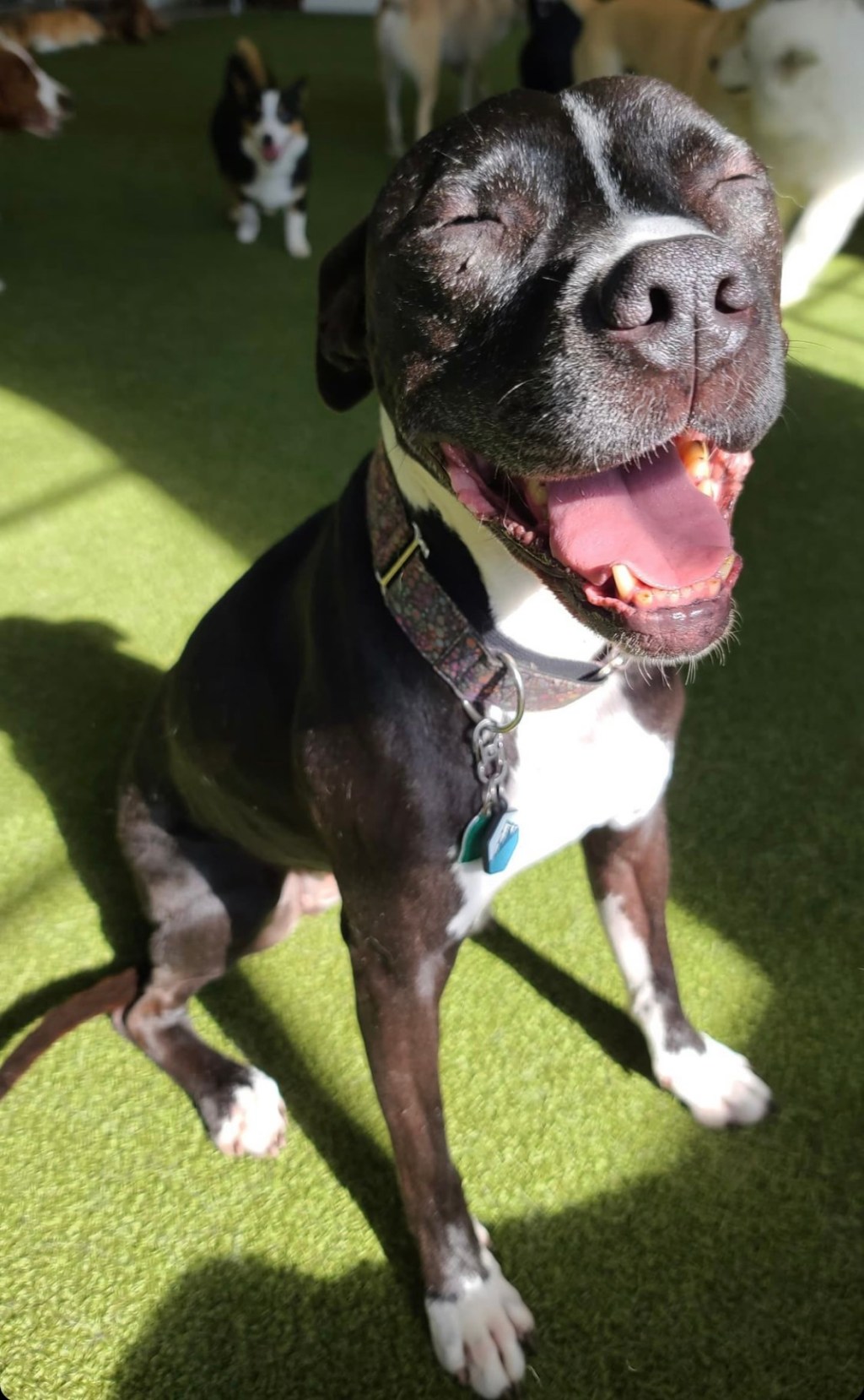 this week in three good&nbsp;things