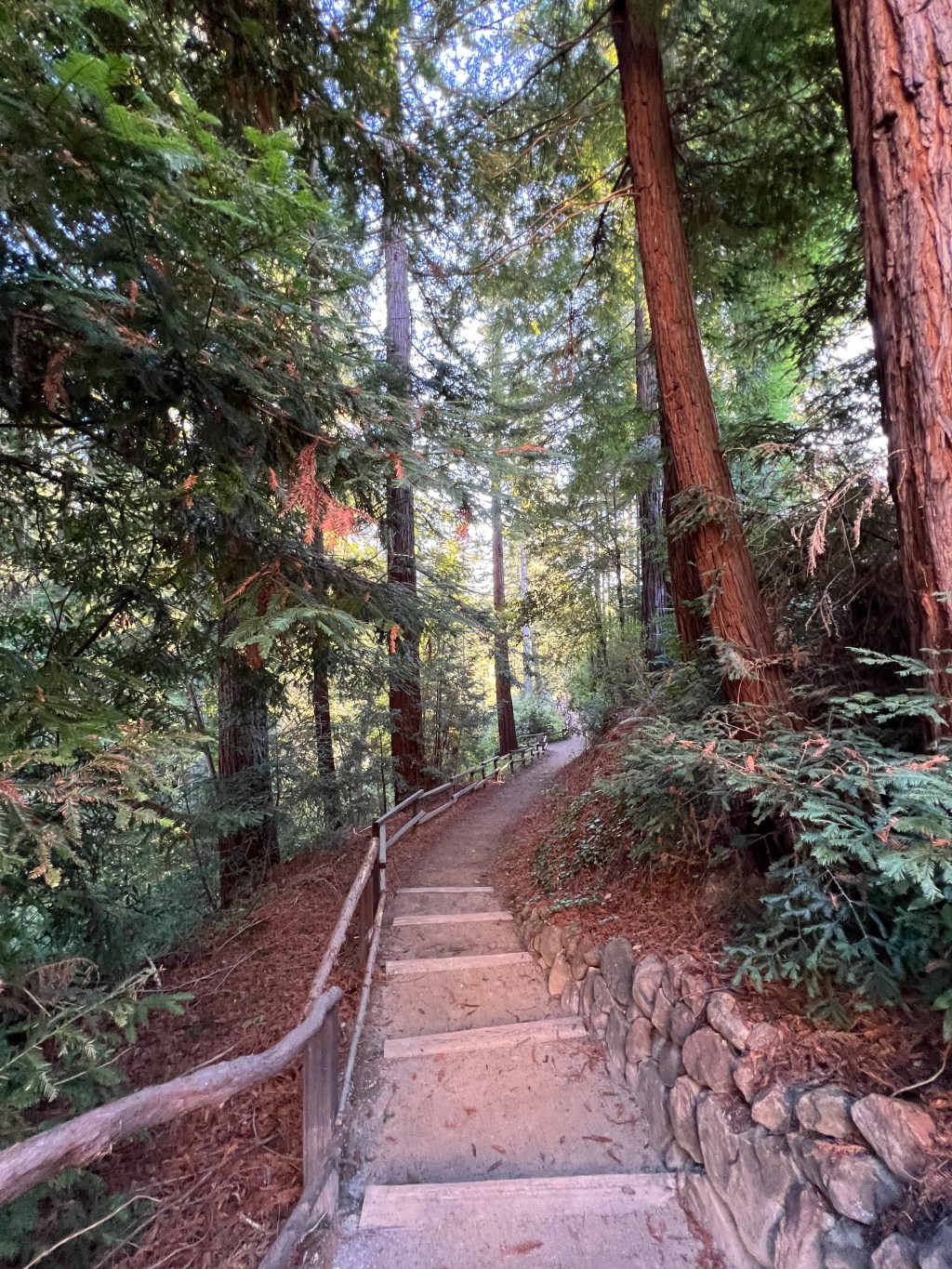 a look back + big things happening in&nbsp;January