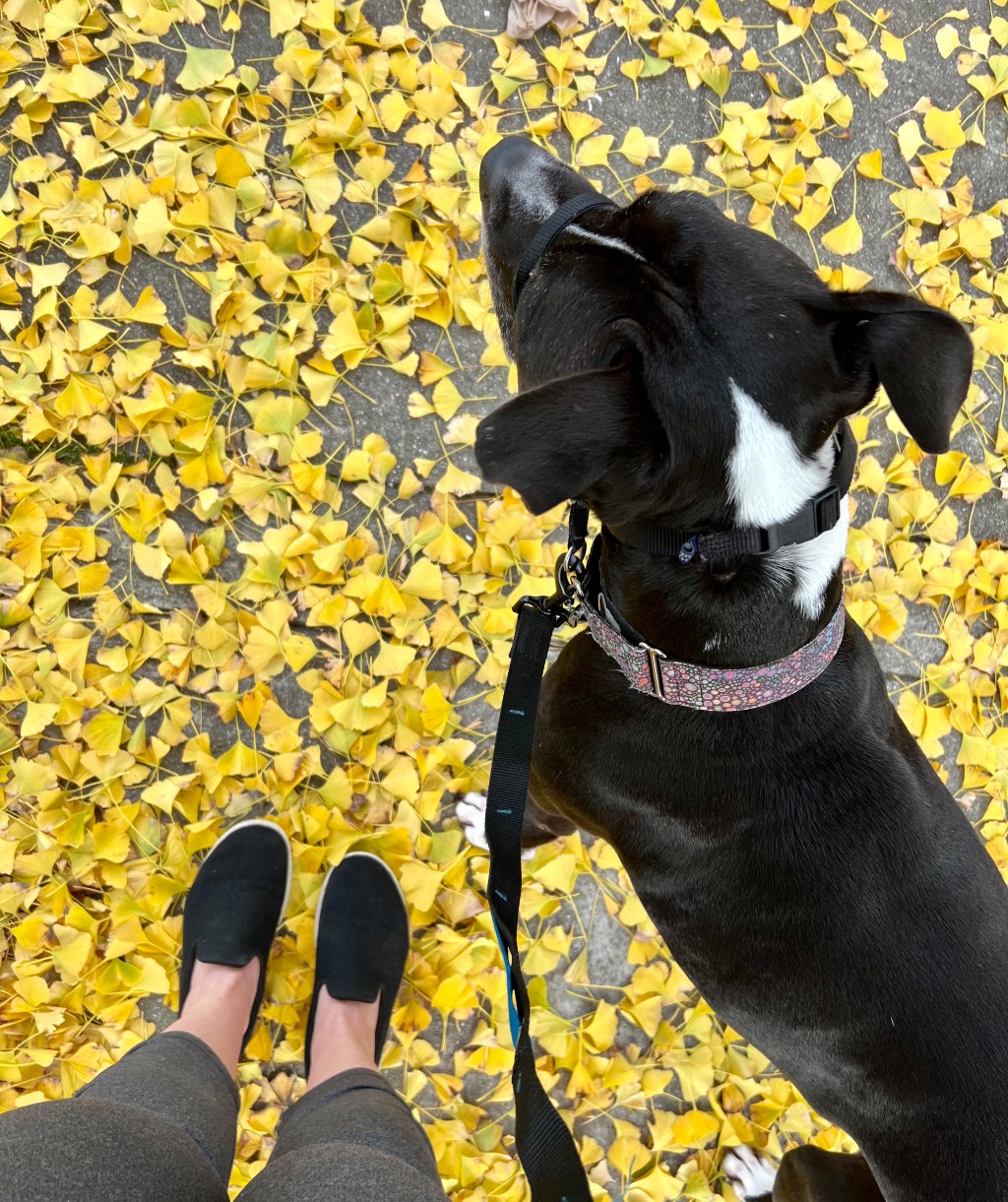 January review + new&nbsp;beginnings