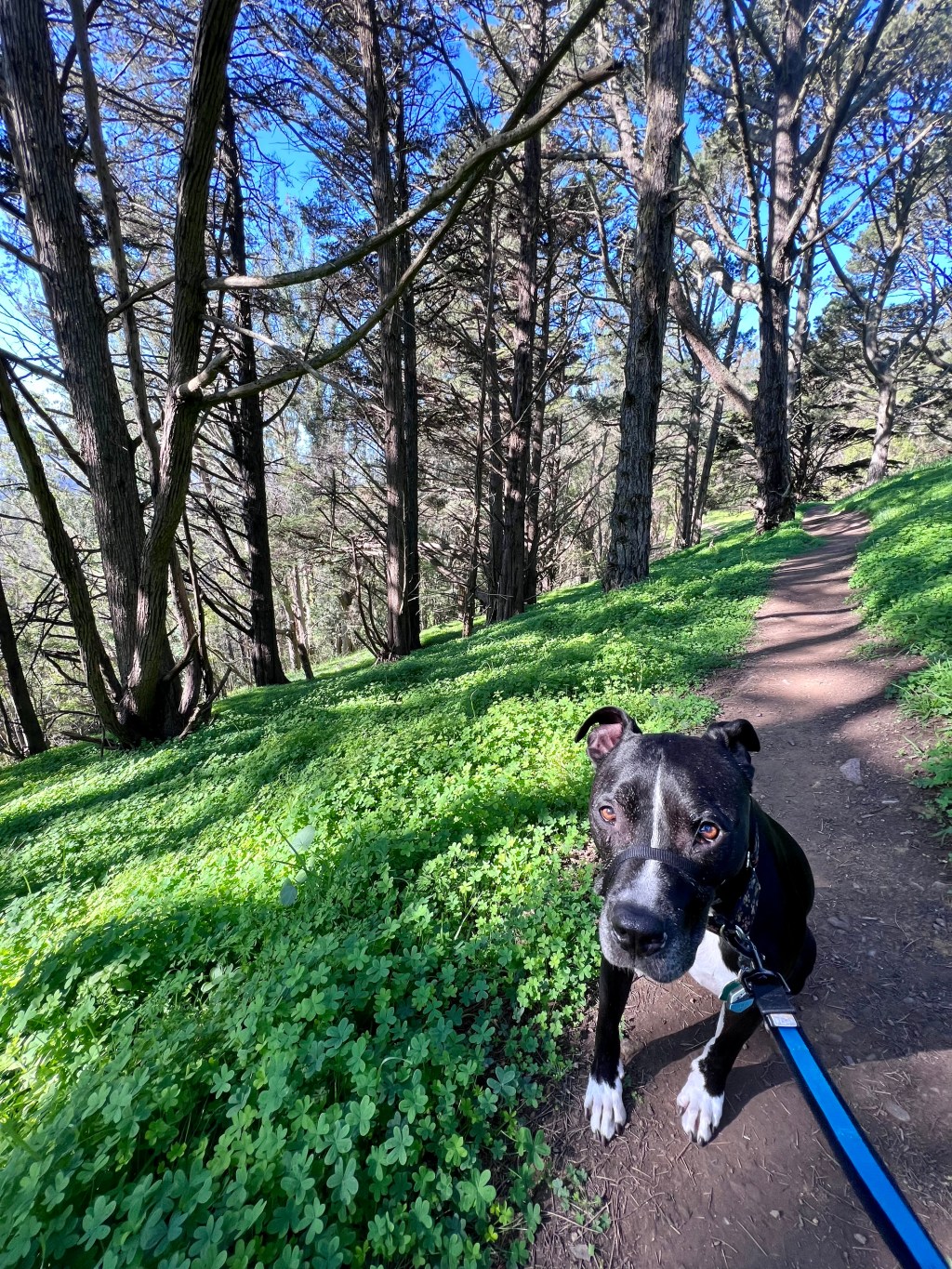 this week in three good things