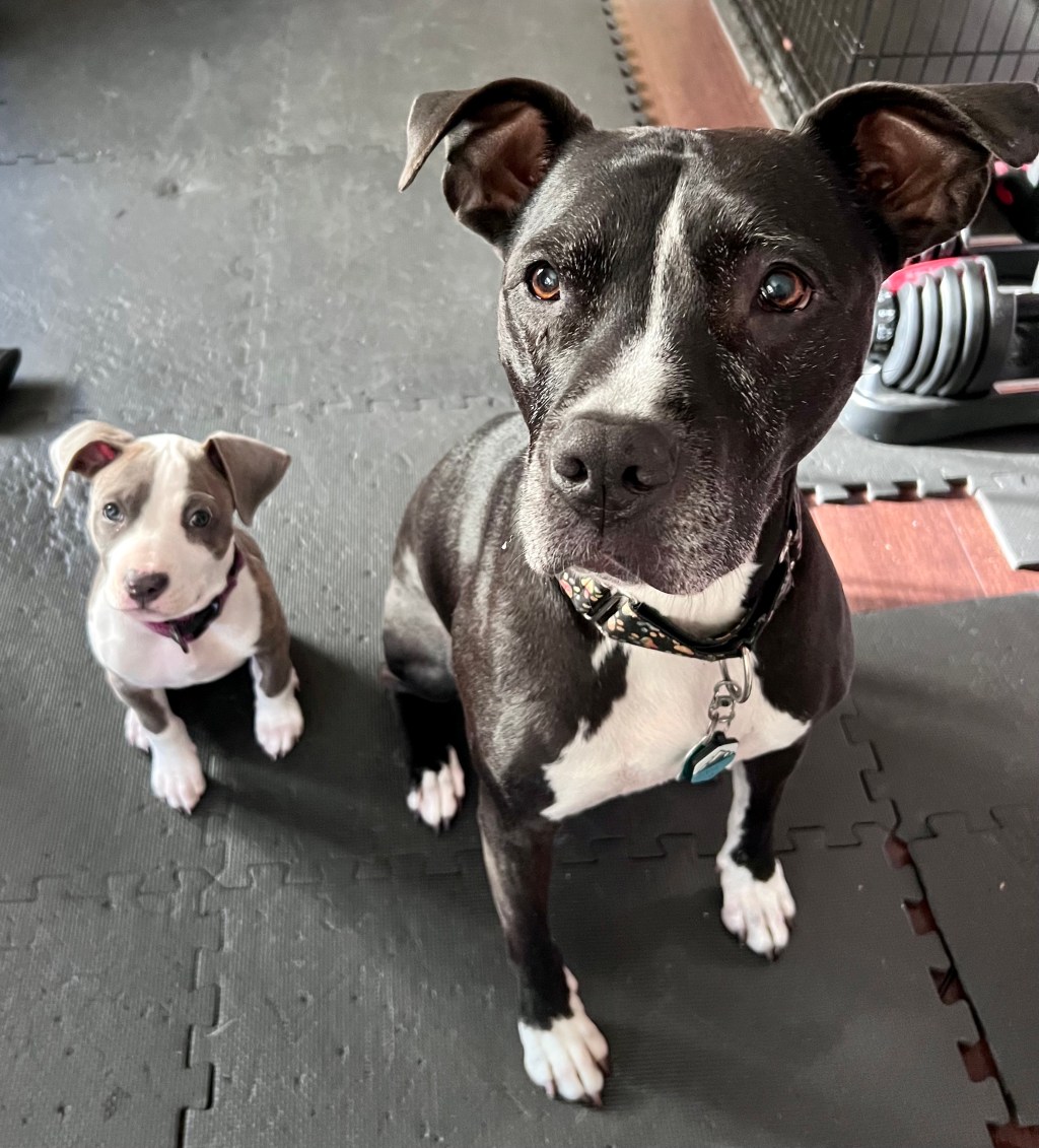 March in review + April&nbsp;planning