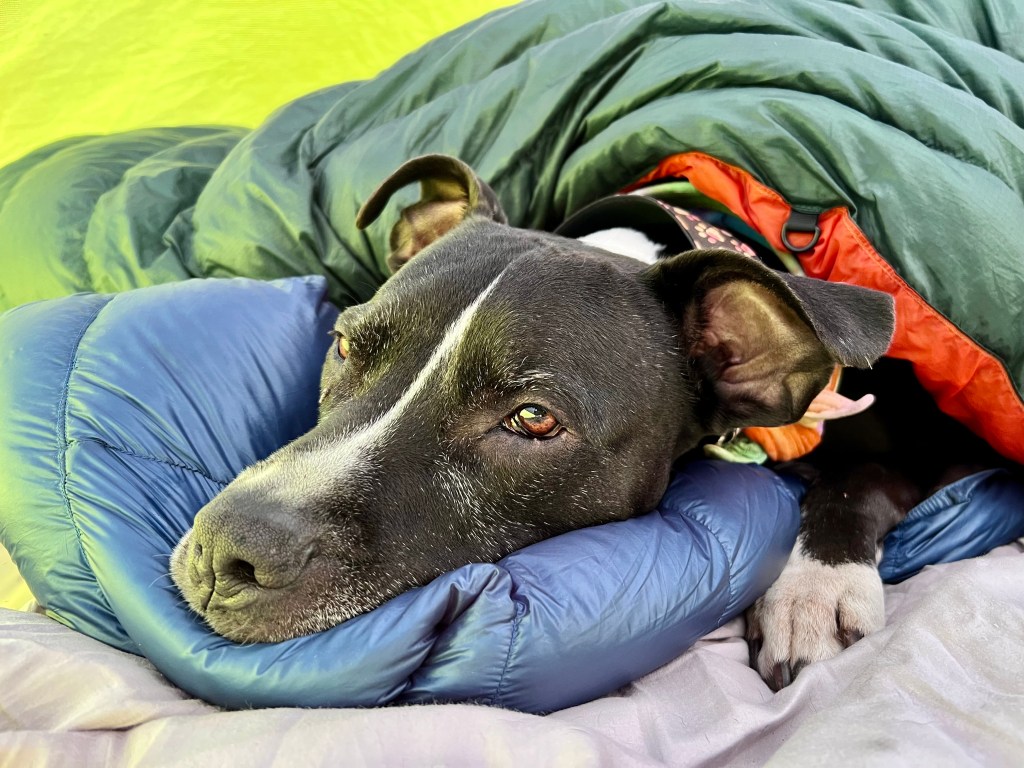 May review + welcoming&nbsp;summer