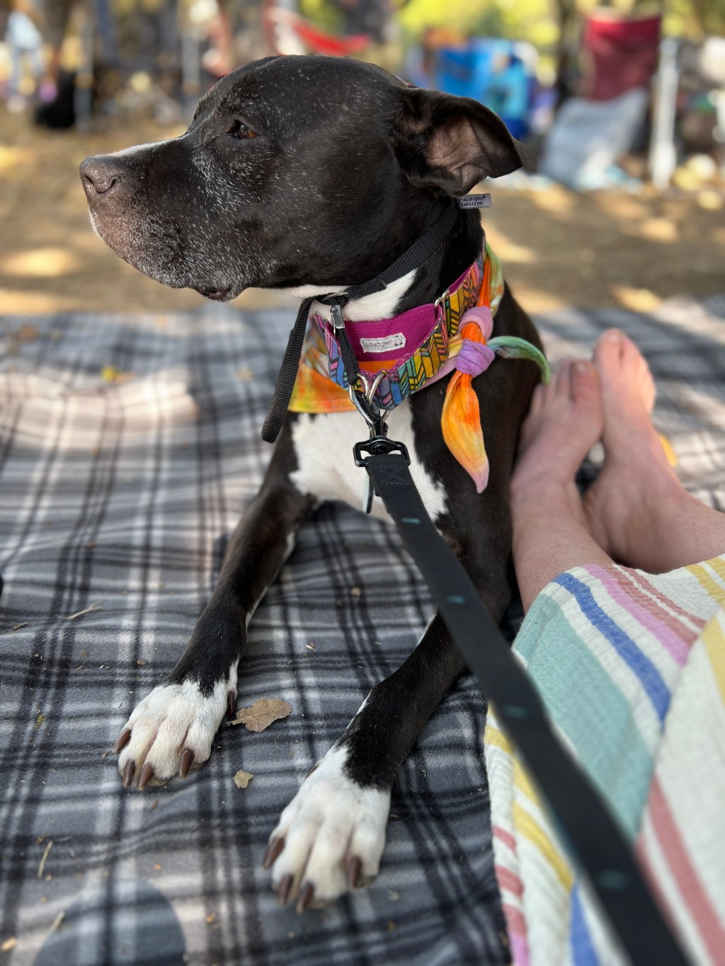 this week in three goods&nbsp;things