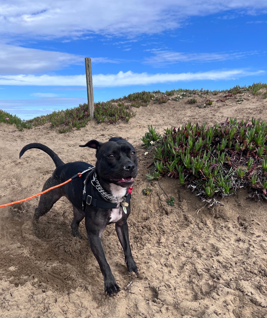 A look back at&nbsp;February