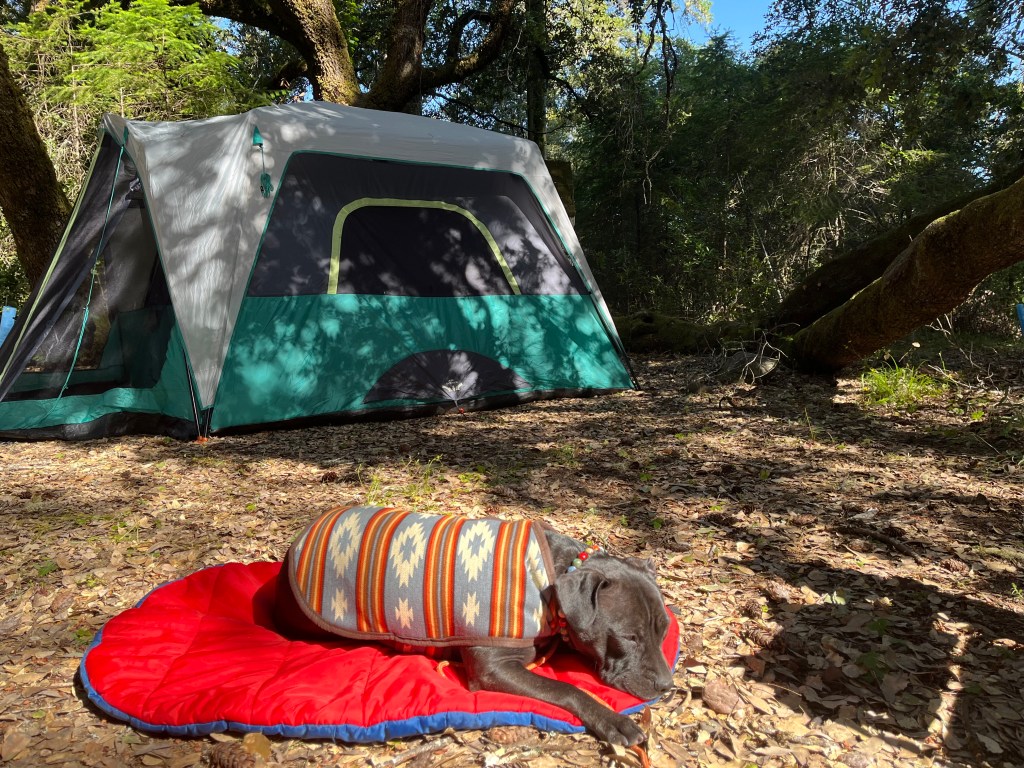 looking back on&nbsp;May