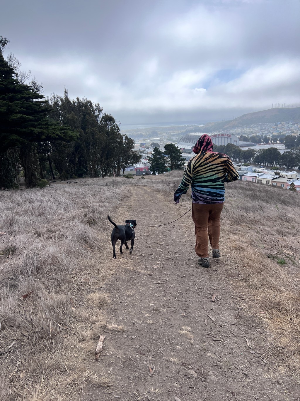 September Highlights: Another Year Older, Volunteering, and So Much&nbsp;Nature