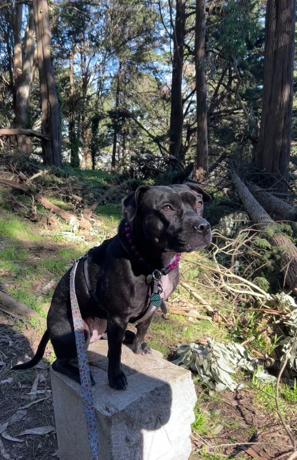 Navigating Chaos: My January&nbsp;Reflections