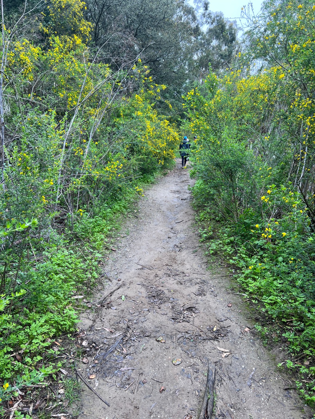 March Highlights: Spring, building community and the return of our favorite dog&nbsp;park