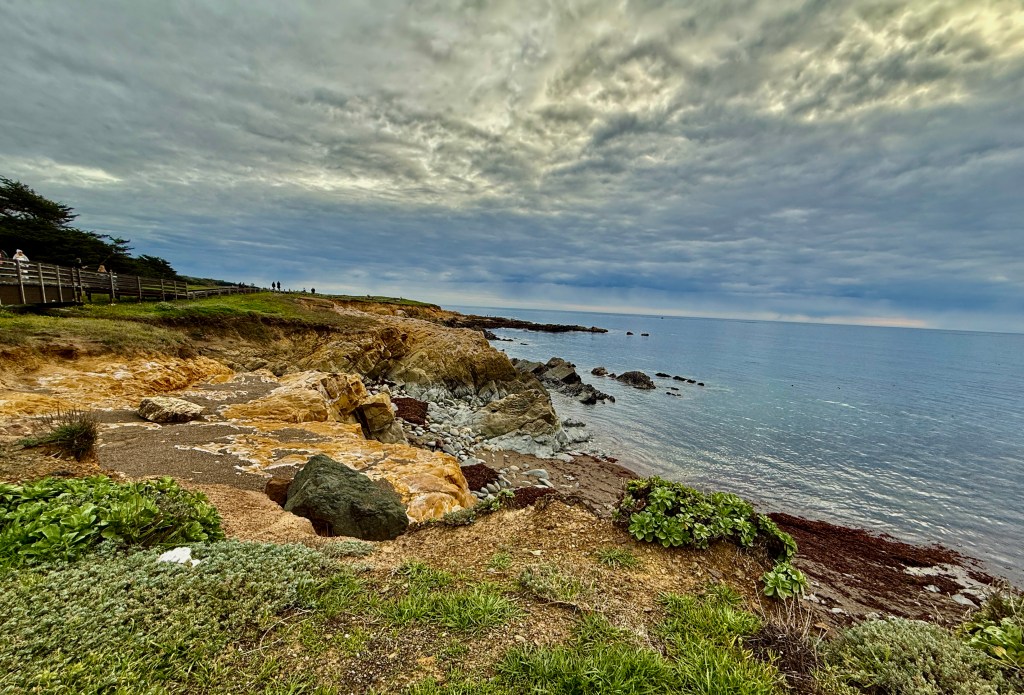 Holiday celebrations, adopt-aversary and appreciating nature: December&nbsp;musings